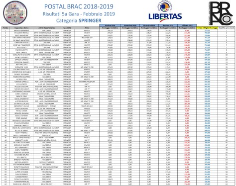 POSTAL BRAC - GARA 5 - SPRINGER