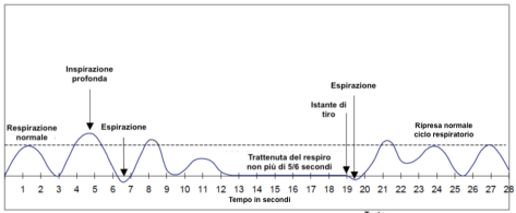ciclo respiratorio.png